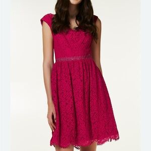 NWT Liu Jo Italian designer Red Lace Dress ❤️❤️ size 42 (US M) 😍